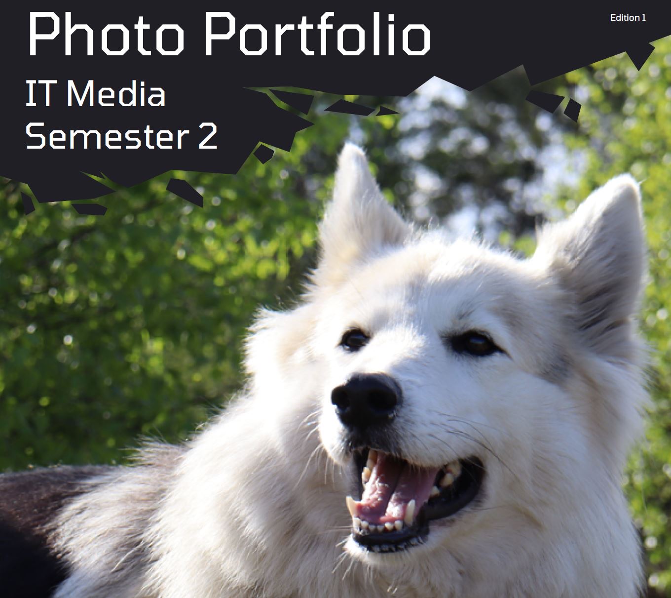 Final Photo portfolio cover